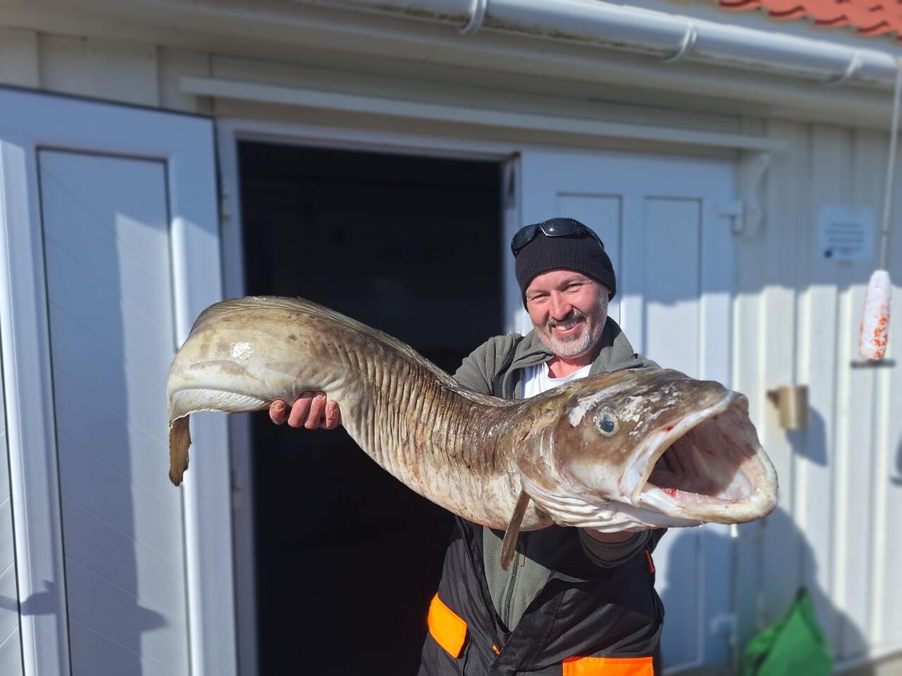 wędkarstwo-w-norwegii-molwa-smola