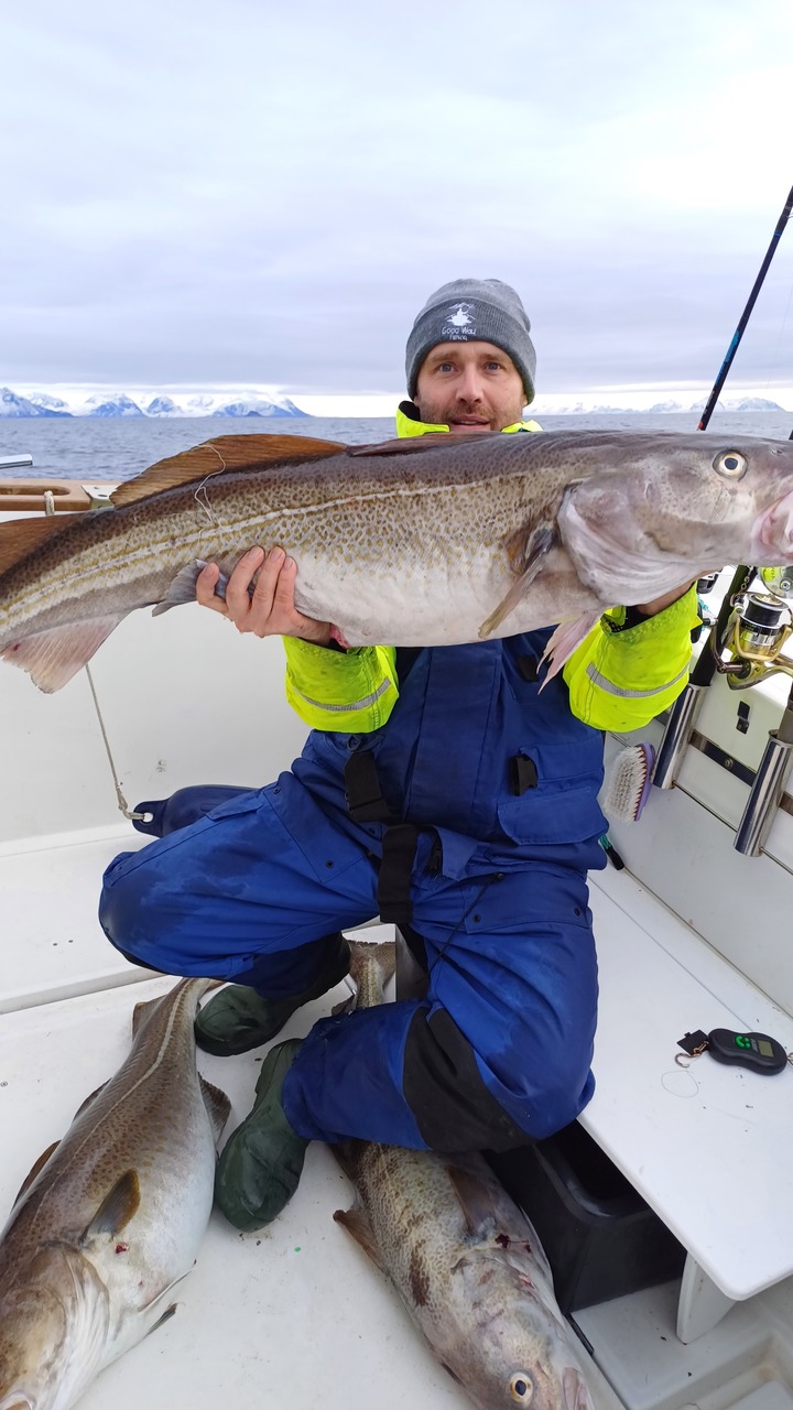 Wyjazd-na-ryby-do- Norwegii, wyspa-Senja, skrei-zimowy-dorsz