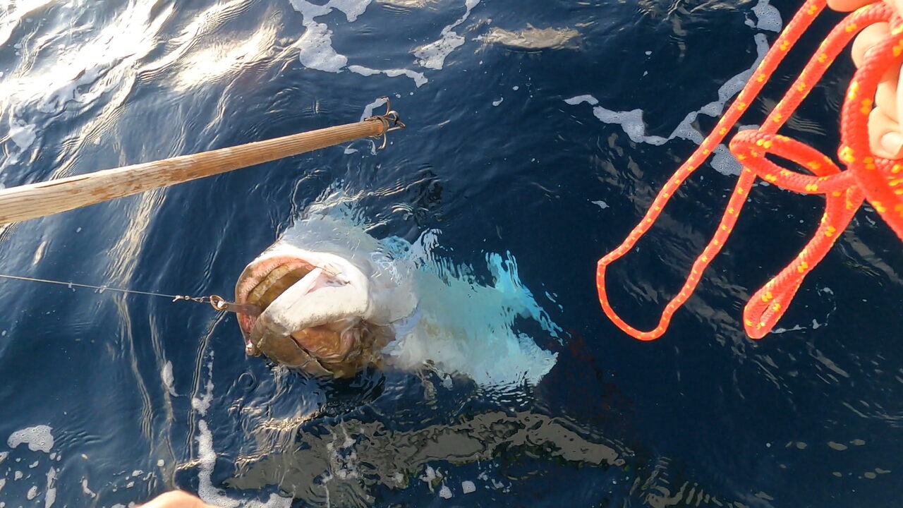 wyprawa-do-Norwegii-halibut-na-Senji