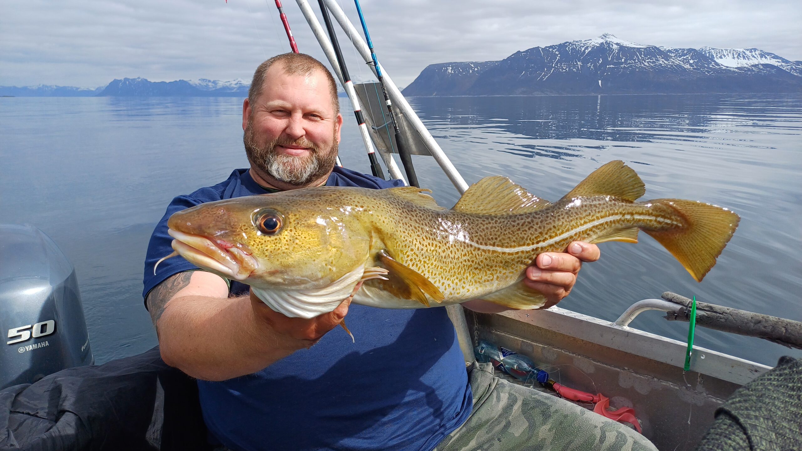Dorsz złowiony na wyspie Senja w Norwegii