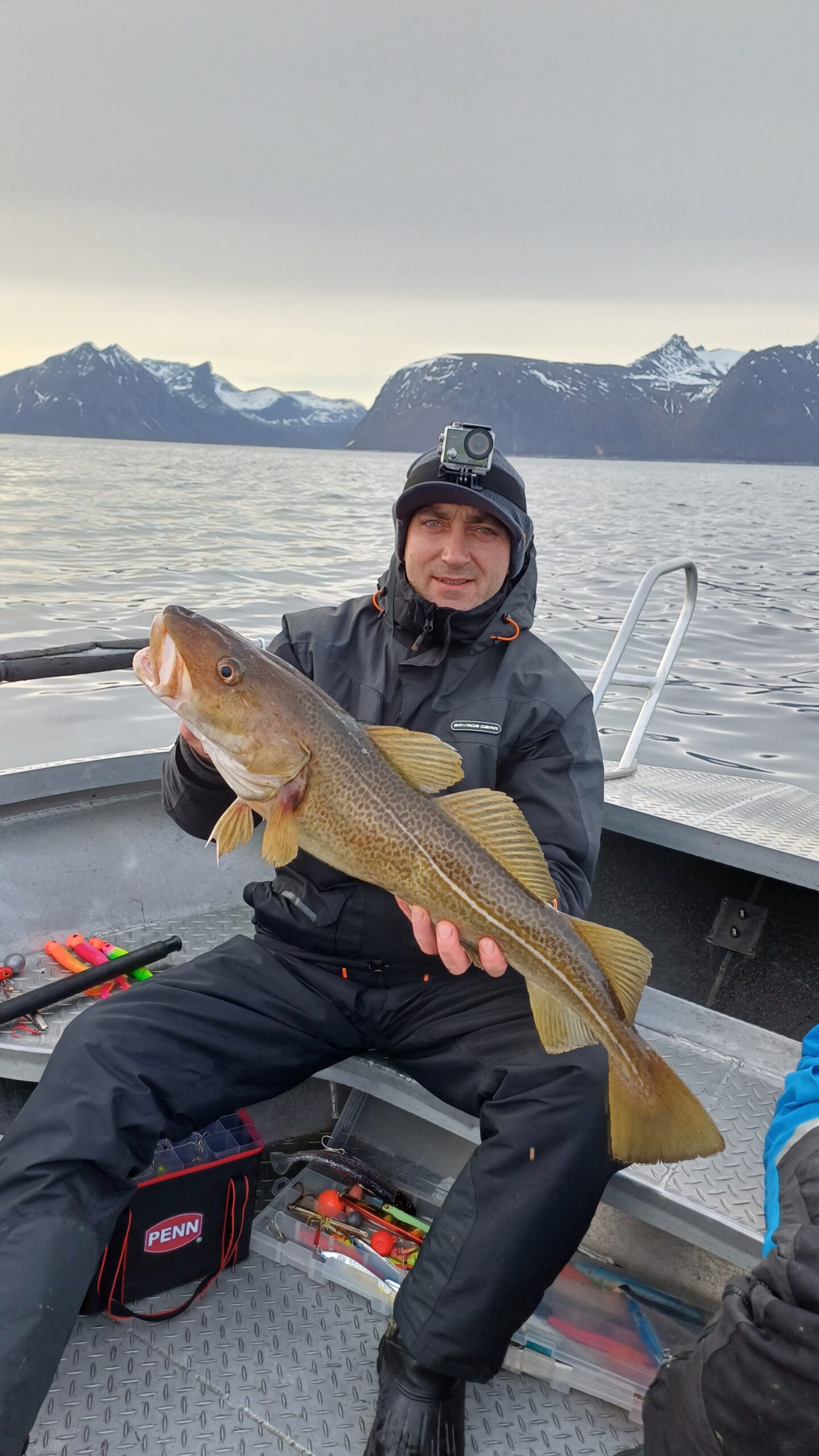 Dorsz złowiony na wyspie Senja w Norwegii