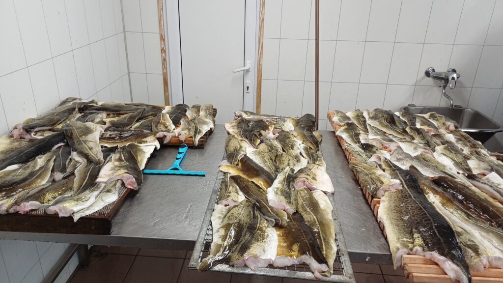 Połów podczas wyprawy wędkarskiej do Norwegii