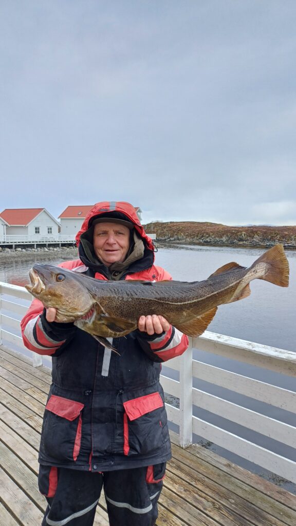 Dorsz złowiony w Norwegii