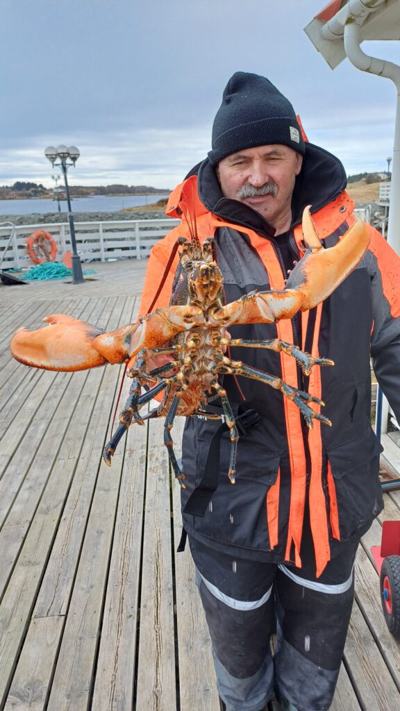 Homar złowiony na wedkę podczas wyprawy na ryby